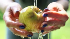 Diese Gewohnheiten verkürzen die Haltbarkeit von Äpfeln um Wochen – in der Praxis getestet