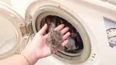 Warum bleiben Haare in der Waschmaschine zurück – und wie du sie beim ersten Mal entfernst