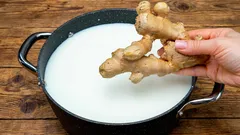 Wie man ein Ingwer-Milch-Getränk zubereitet, das bei winterlichen Erkältungen wirklich hilft