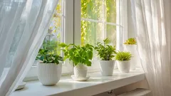 Warum selbst ein ordentliches Zuhause nervt – und wie du mit einfachen Schritten wieder mehr Gemütlichkeit reinbringst