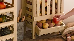 Verlieren Kartoffeln an Geschmack und werden weich? Das Lagerungsgeheimnis, das kaum jemand kennt