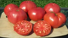 Tomaten und Gelenke: Wahrheit und Mythen darüber, ob die rote Frucht Schmerzen verursacht