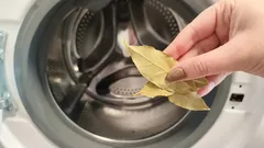 Grossmutters Geheimtipp: Lorbeerblatt macht Wäsche ohne Chemie wieder frisch